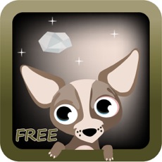 Activities of Henry the Chihuahua Free