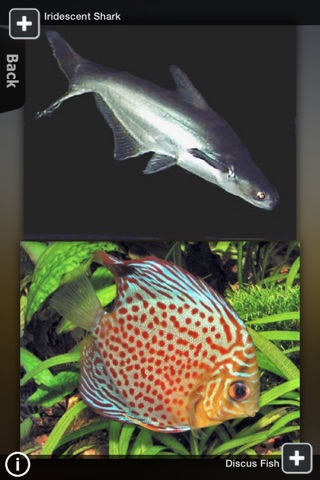 Fish Guide Pro screenshot 2