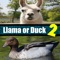 All fans of Llama or Duck Quiz Fans