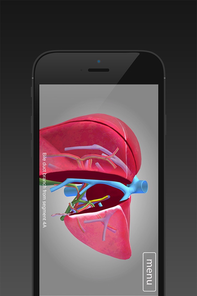 Surgical Anatomy of the Liver (iPhone) screenshot 2