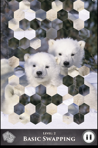 Hidden Scenes - Polar Bears screenshot 2