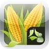 ScoutPro Grower Corn