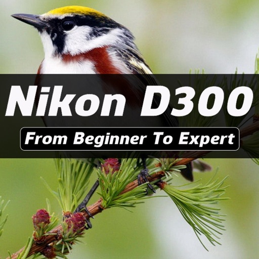 iD300 Pro - Nikon D300 Guide And Training icon