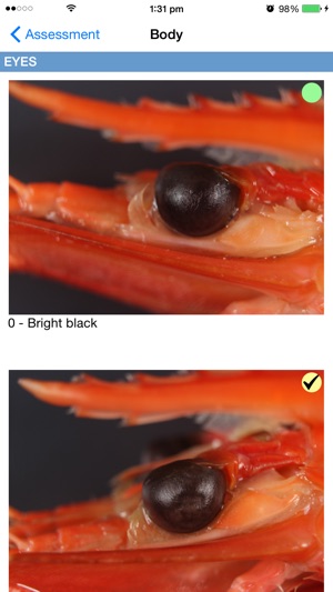 Australian Seafood Quality Index