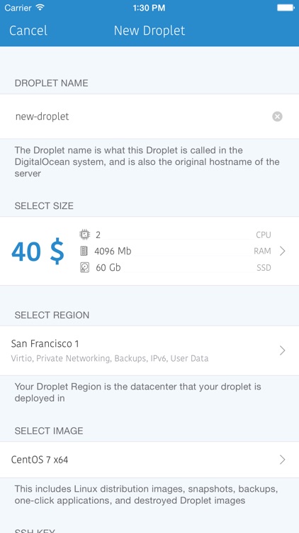 Droopls - full-featured control panel for DigitalOcean screenshot-4