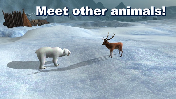 Polar Bear Survival Simulator 3D