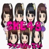 ファン検定  for  SKE48