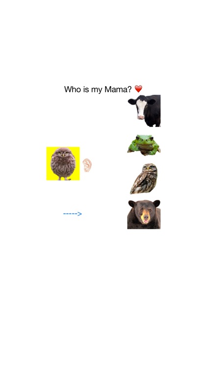 whoismymama