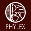 ヨガスタジオ　PHYLEX（フィレックス）