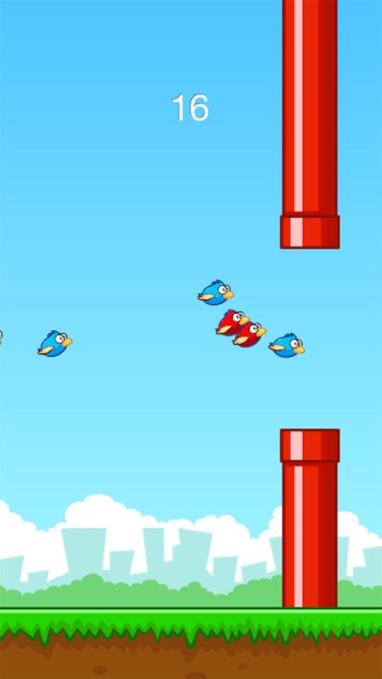Fly Smash - Birds fly, squishy bird, smash them screenshot-3
