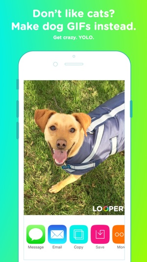 Looper — Super GIF Camera(圖3)-速報App