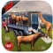 Transport Truck: Farm Animals and Cattles