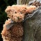 Teddy bears are some of the most beloved childhood toys, but they can be special collectibles, too