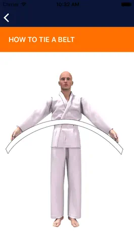 Game screenshot iKarate-Do apk