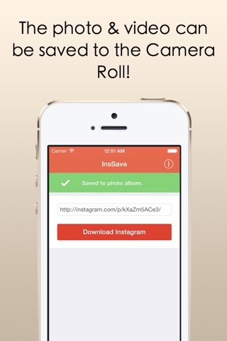 InsSave - Download & Save Photos & Videos From Instagram With Ease! screenshot 2