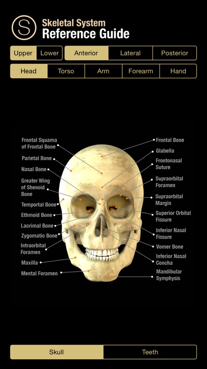 Skeletal System Reference Guide screenshot-0