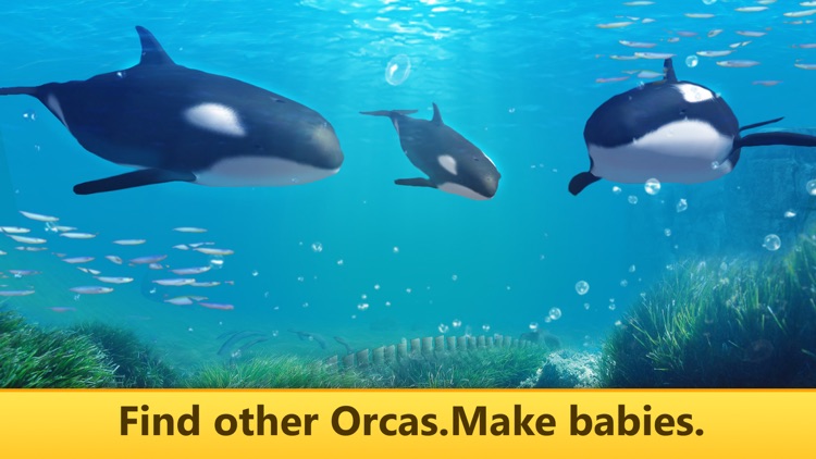 Ocean Whale Orca Simulator: Animal Quest 3D