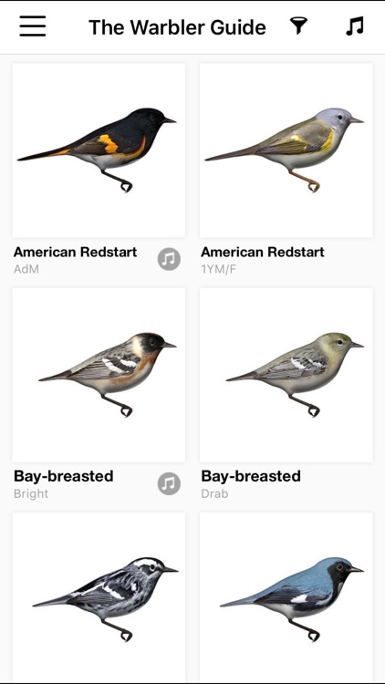 The Warbler Guide