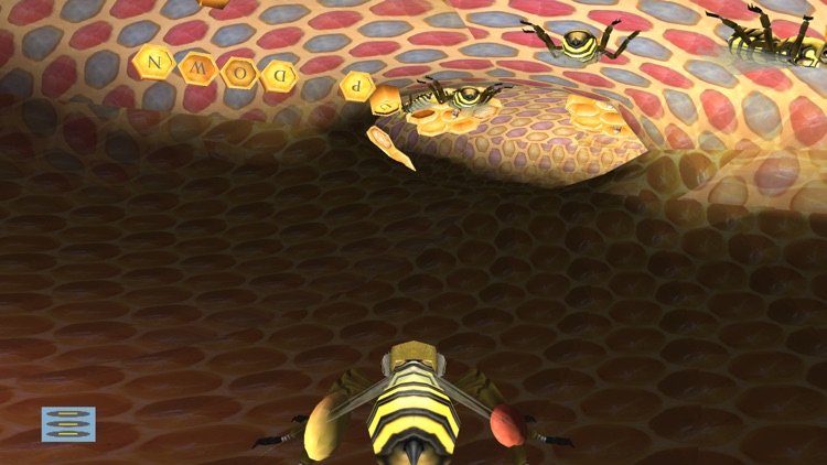 Queen Bee 3D :  Success is Sweet screenshot-3