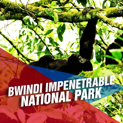 Bwindi Impenetrable National Park Tourism Guide icon