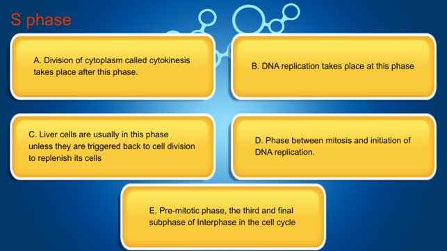 CellCycle(圖4)-速報App