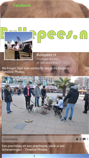 BullePees.nl App(圖3)-速報App