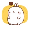 Kute Molang Sticker