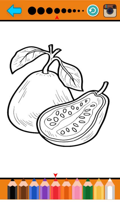 Food Fruit Coloring Page Drawing Book for Kids screenshot-3