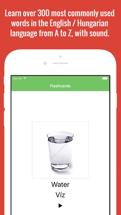 Hungarian Flashcards with Pictures screenshot-4