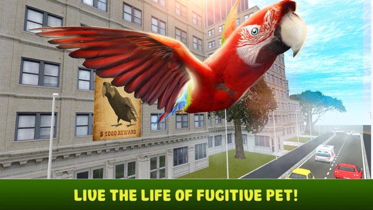 City Parrot Simulator 3D Full