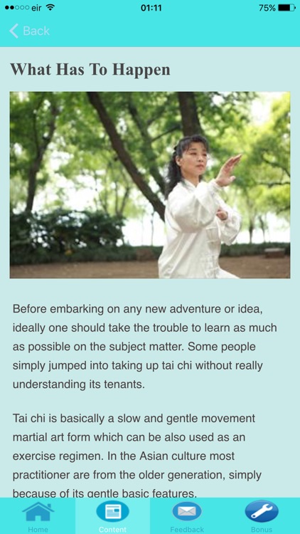 Tai Chi For Beginners - Stages of Development