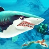 2016 Shark Attack and Hungry Evolution SImulator