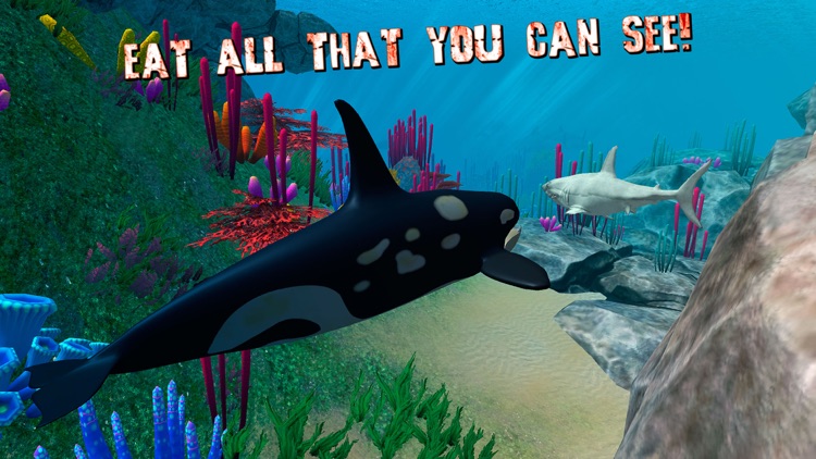 Angry Killer Whale Orca Attack screenshot-3