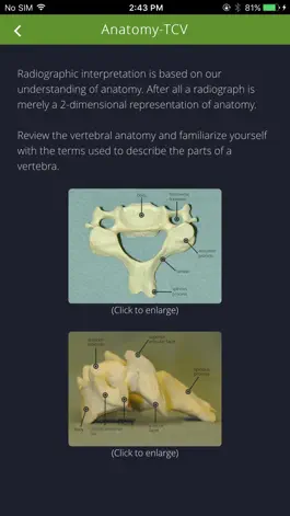 Game screenshot Cervical Spine hack