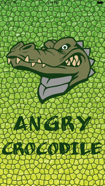 Fun with Crocodile - Angry Crocodile in Sea