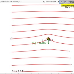 Magnetic Field of Wires Sims