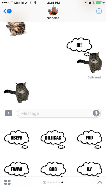 Funny Cat Stickers screenshot-3