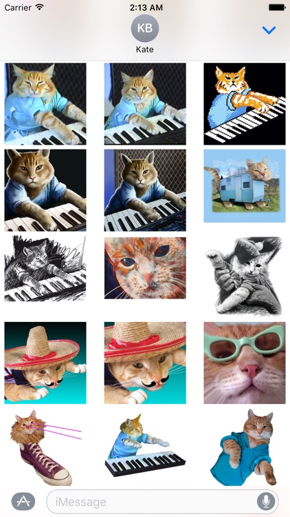 Keyboard Cat Stickers! screenshot-3