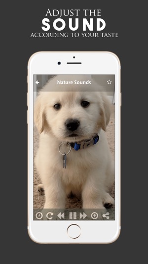 Puppy Sounds:Calming Music For Relaxation & Sleep(圖4)-速報App