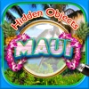 Hidden Objects Maui Island Vacation Seek & Find