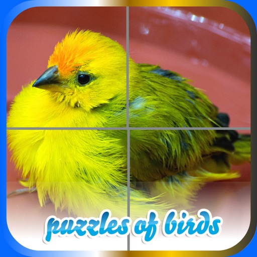 Puzzles of Birds icon