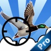 A Best Duck Hunter PRO :  Good Aim
