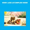 Work Less Accomplish More