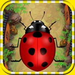 Running Bug  Survive in The Jungle Race