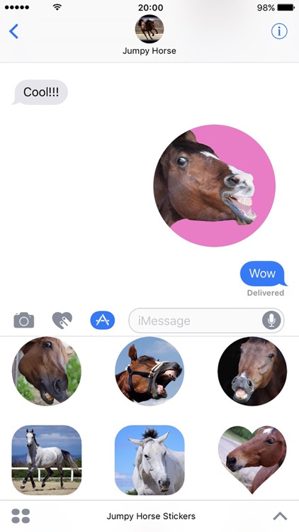 Jumpy Horse Stickers