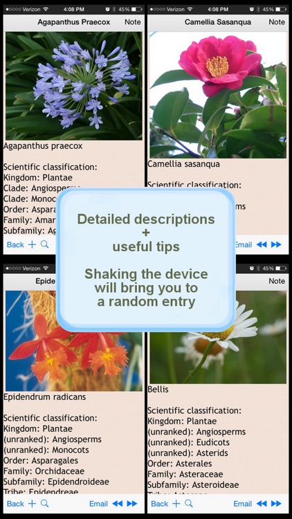 Flowers Encyclopedia Plus+