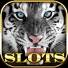 Slots Tiger Jungle King Slots Craze Free