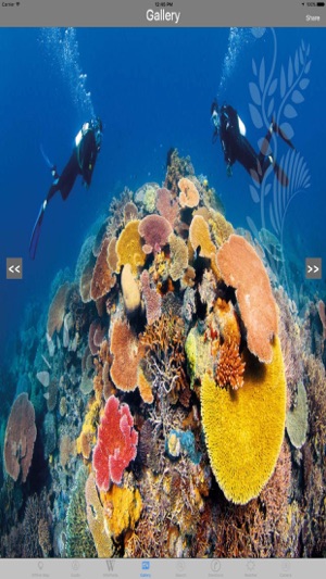 Great Barrier Reef Australia Tourist Travel Guide(圖3)-速報App