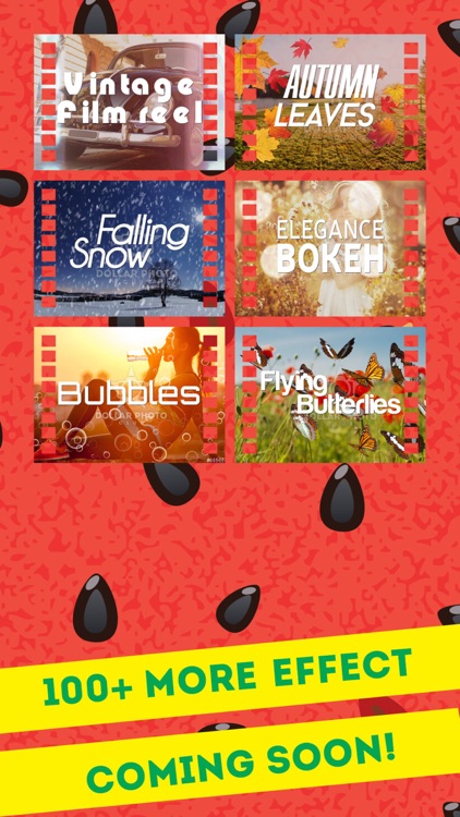 Gif Maker- Gif Creator, Gif Downloader to Make Gif screenshot-3