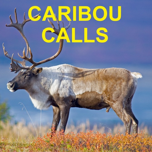 Caribou Calls for Big Game Hunting Icon
